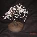 DSC01582.JPG