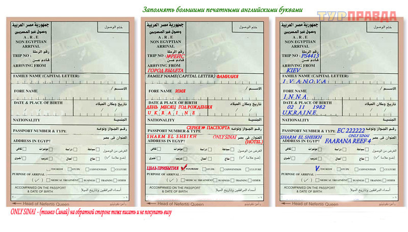 Какие документы нужны в египет. Миграционная карта Египет 2021. Миграционная карта для Египта туристам. Миграционная карточка Египет. Заполнение миграционной карты в Египет.