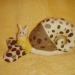 DSC01326.JPG