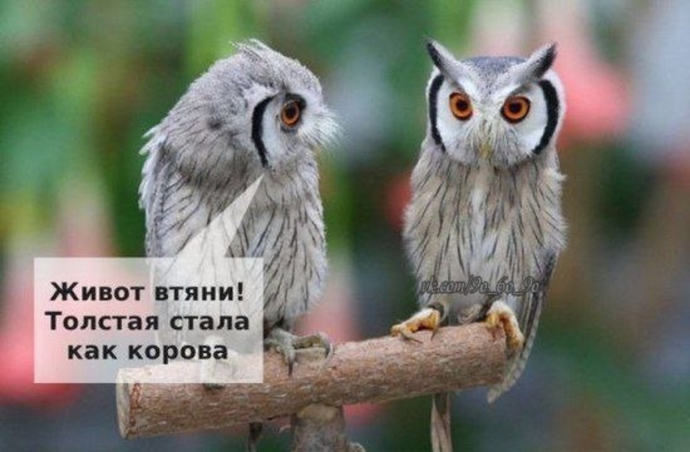 Как 40 было же 16 картинка