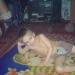 DSC00313.JPG