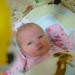 DSC00820.jpg