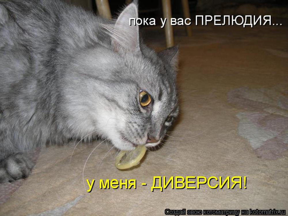 Стыдно Очень Фото