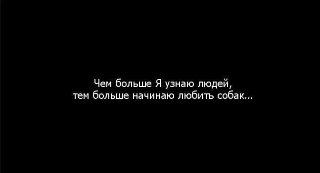 Чем больше узнаю людей тем больше люблю собак картинки