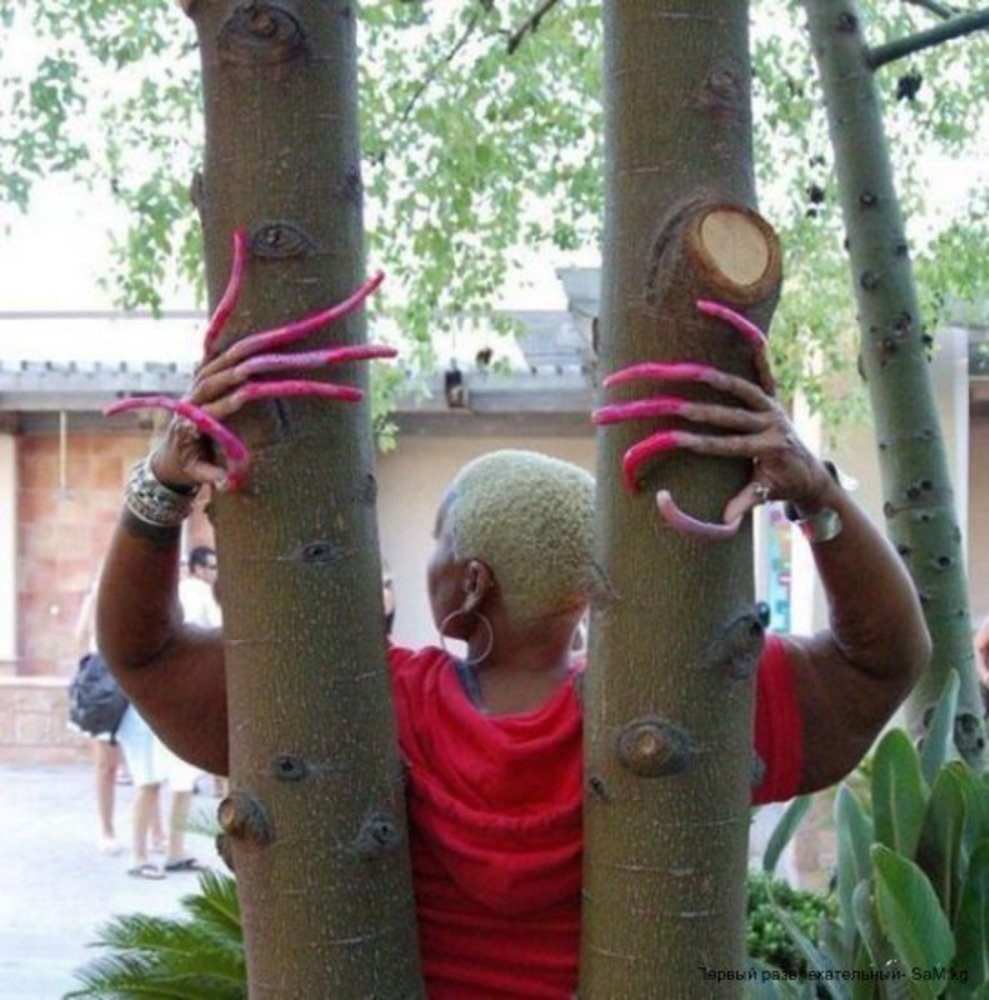 Волосы смешно. Длинные приколы. Длинные анекдоты. Самые смешные шутки длинные. Шутки длинные и смешные.