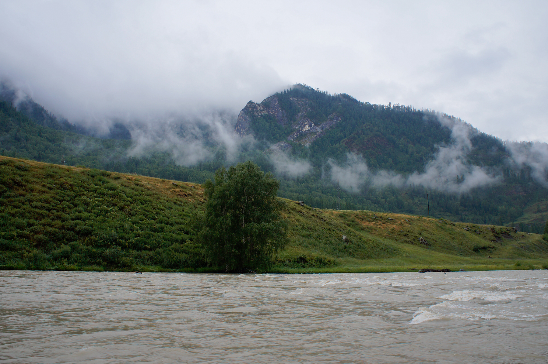 Республика алтай климат. Дождь в Горном Алтае. Дождь на Чемале. Климат Алтая. Алтай в пасмурную погоду.