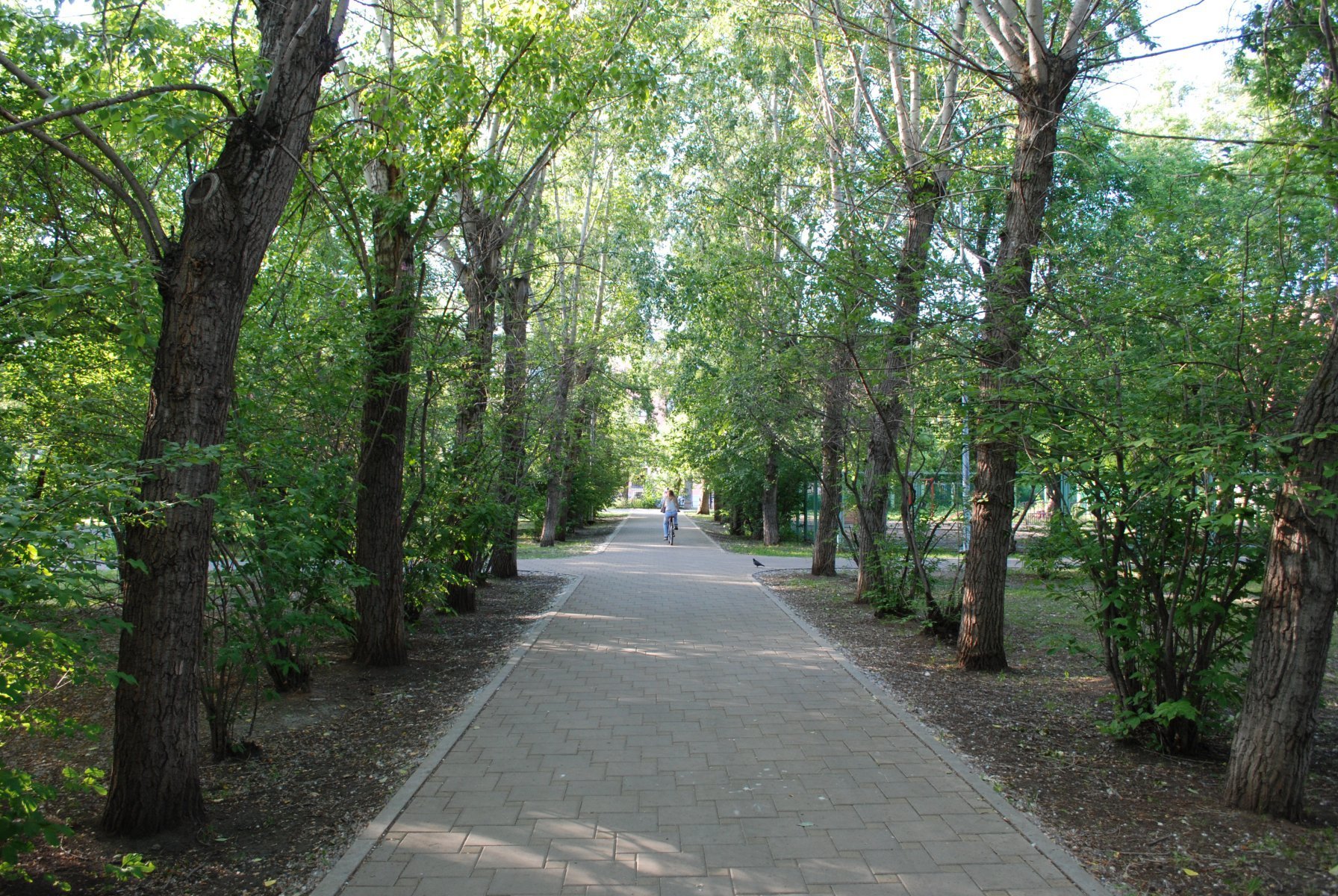 Парк Имени Павлика Морозова В Екатеринбурге Фото