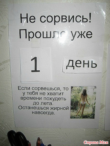 Прикол На Холодильник Для Похудения.