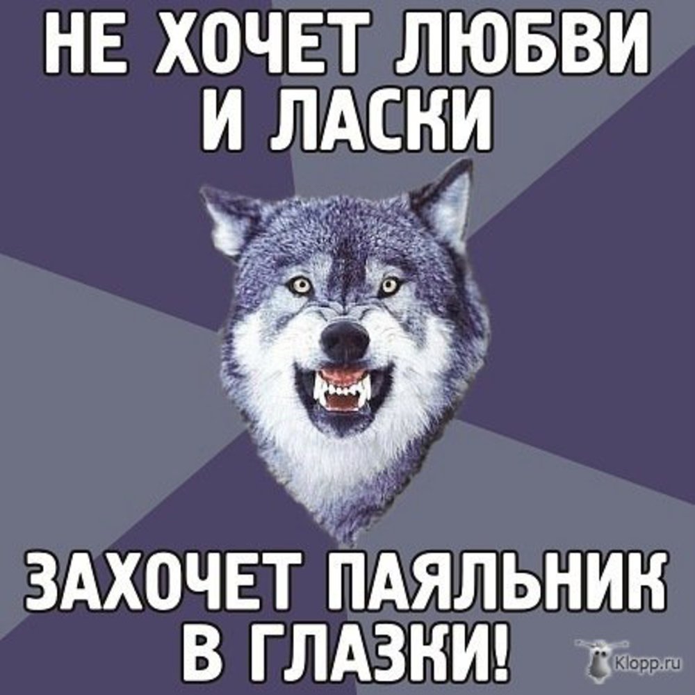 Песни малышка хочет ласки. Волк Мем. Мемы с волками. Мемы про Волков. Злой волк мемы.