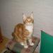 DSCN3578.JPG