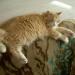 DSCN3537.JPG