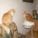 DSCN3583.JPG