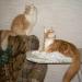 DSCN3584.JPG
