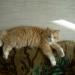 DSCN3533.JPG