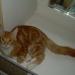 DSCN3532.JPG
