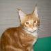 DSCN3579.JPG