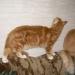 DSCN3575.JPG