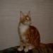 DSCN3574.JPG