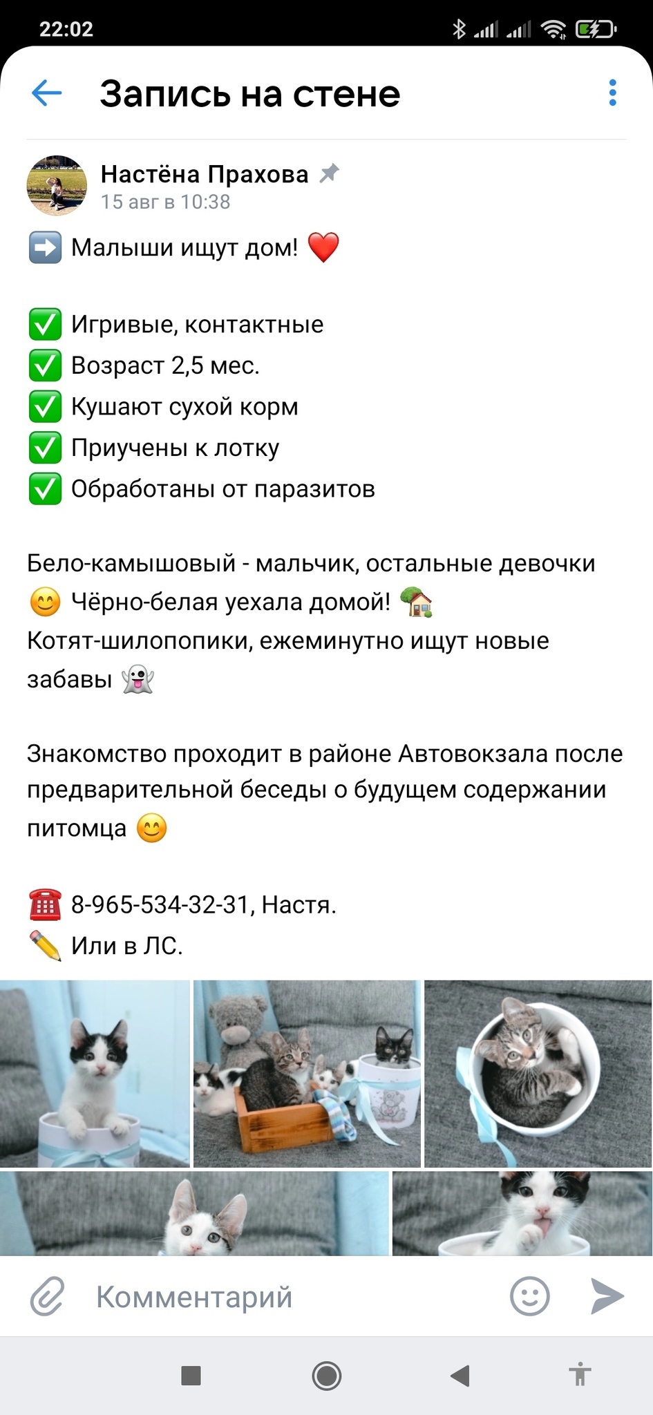 Я Нашла В Саду Котенка