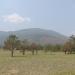 DSCN9801
