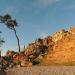 DSCN9616
