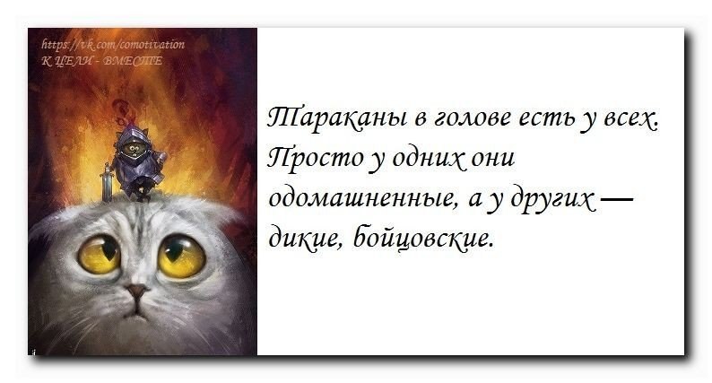 Съем голова. Не морочь мне голову. Ты с головой дружишь?. Не дружит с головой. Люди дружат с головой.