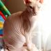 IMG_5822.JPG