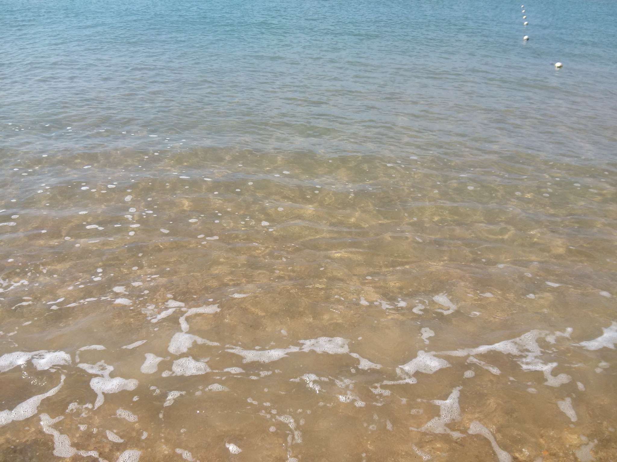 Витязево море вода. Море в Витязево в июле. Вода в Витязево в июле. Витязево море цветет. Море в Витязево в августе.