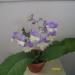 IMGP00114.JPG
