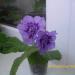IMGP0022.JPG