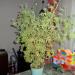 DSC00805.JPG