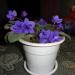 DSC00812.JPG