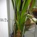 DSC00826.JPG