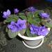 DSC00811.JPG