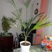 DSC00807.JPG
