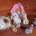 DSC01063.JPG