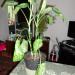 DSC00817.JPG