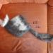 DSC01007.JPG