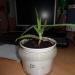 DSC00814.JPG