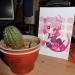 DSC00823.JPG