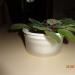 DSC00830.JPG