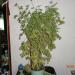 DSC00772.JPG