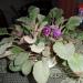 DSC00813.JPG