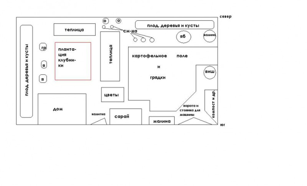 Схема расположения плодовых деревьев и кустарников на участке 6 соток