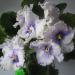 IMG_1093.JPG