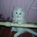 Мои фото