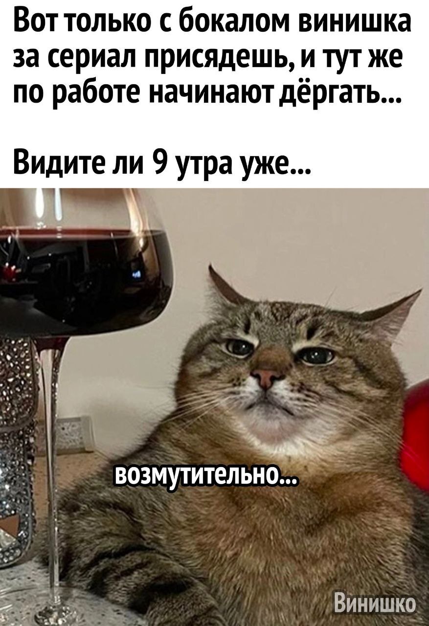 Мемы, <b>которые</b> заставили вас улыбнуться 