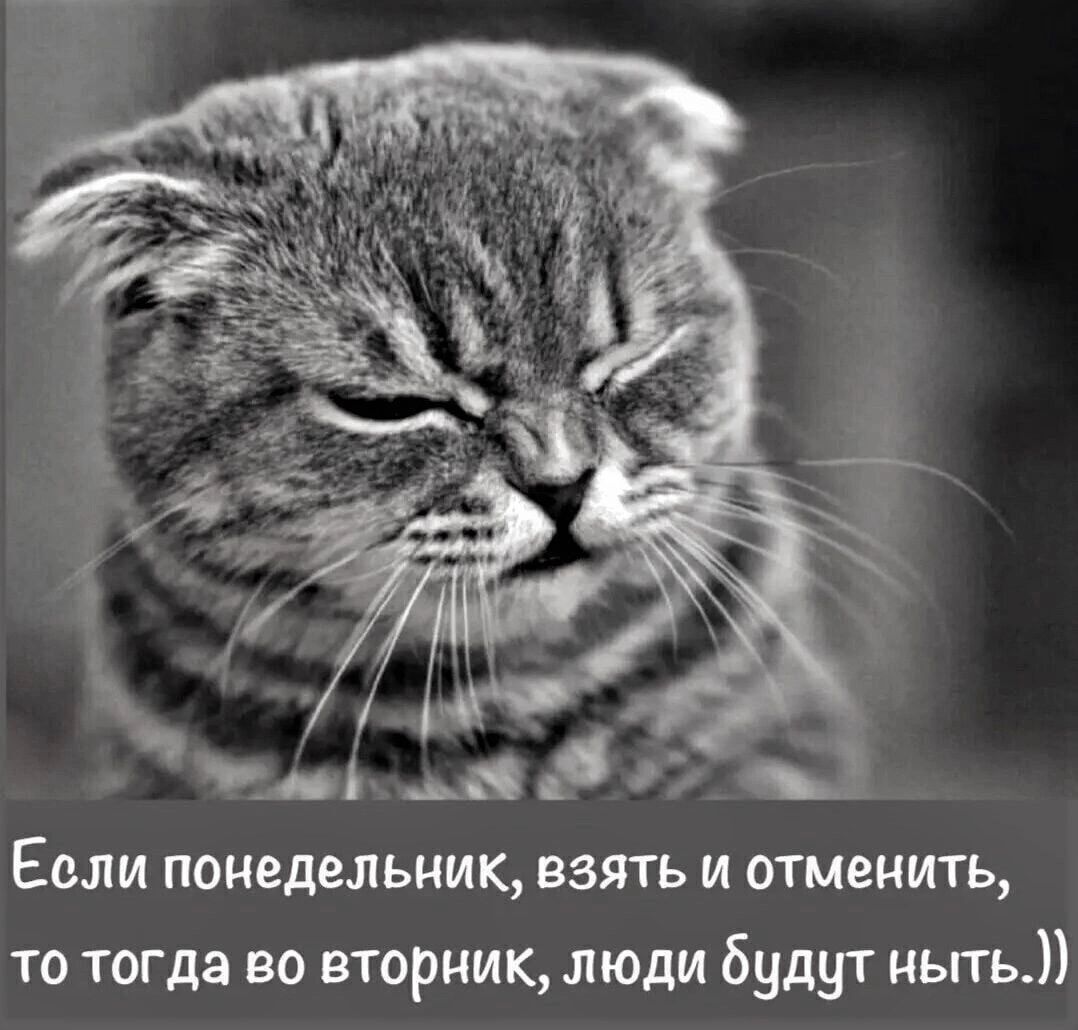 Понедельник опять