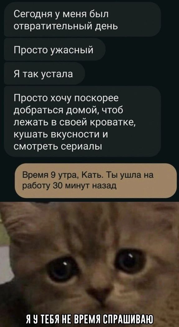 Пойми катя