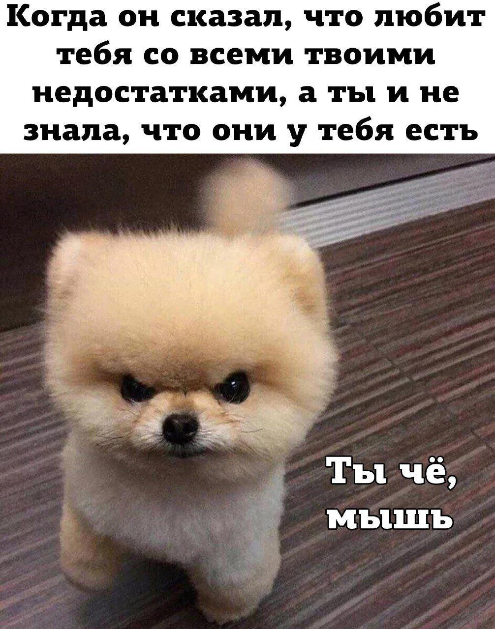 Я злюсь картинки
